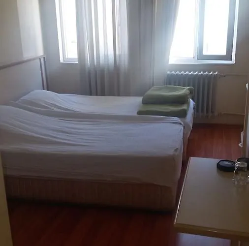 Saray 호텔 무글라